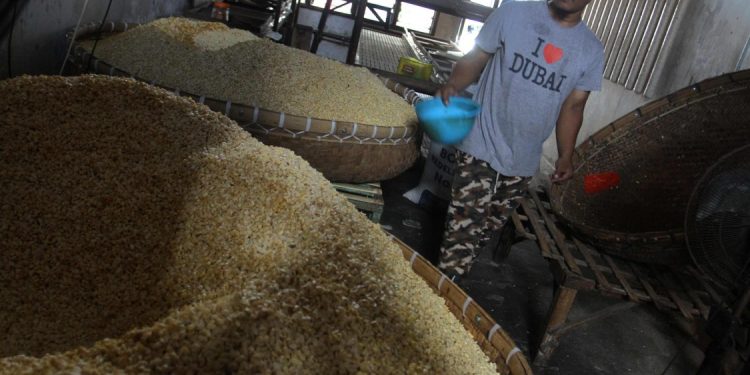 Pemerintah Tegaskan Harga Kedelai Tetap Stabil untuk Lindungi Pengrajin Tahu Tempe