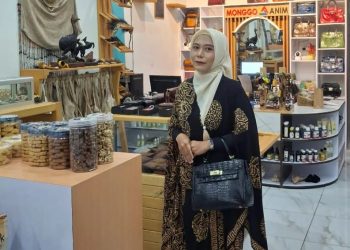 Kenaikan Harga Kantong Plastik di Merauke Akibat Konflik Timur Tengah