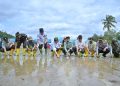 Pemprov Sumbar Genjot Rehabilitasi Sawah Pascabencana Hidrometeorologi