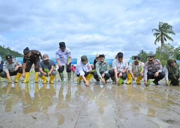 Pemprov Sumbar Genjot Rehabilitasi Sawah Pascabencana Hidrometeorologi