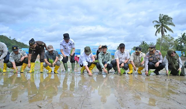Pemprov Sumbar Genjot Rehabilitasi Sawah Pascabencana Hidrometeorologi