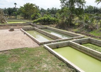 Pemulihan Infrastruktur Sanitasi di Sumatra Selesai Tahap Darurat