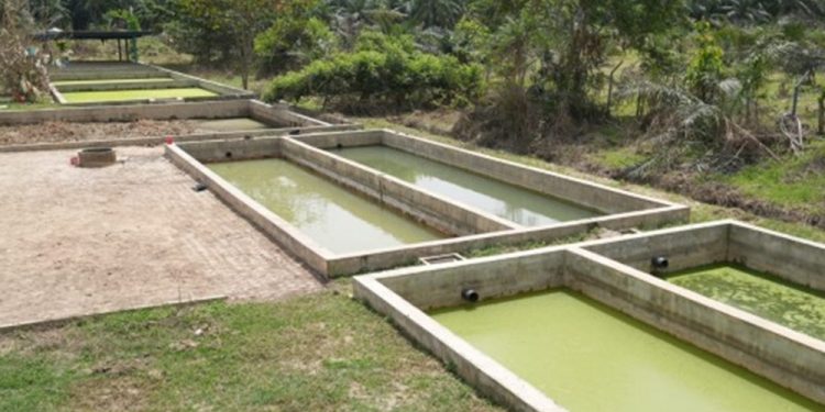 Pemulihan Infrastruktur Sanitasi di Sumatra Selesai Tahap Darurat