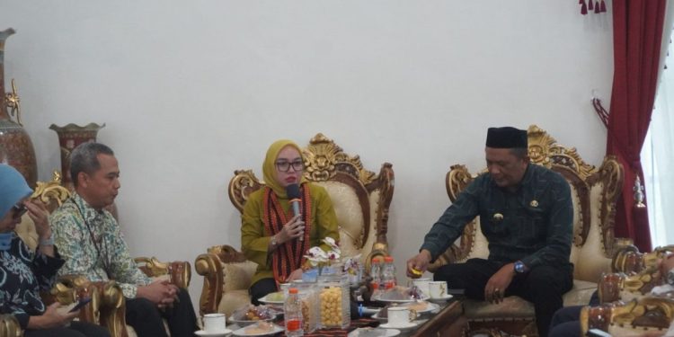 Wakil Menteri Koperasi Tinjau Program Koperasi Desa di Gayo Lues