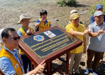 Pemkab Kubu Raya Tanam 20 Ribu Mangrove untuk Cegah Abrasi Pesisir