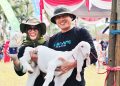 Susu Kambing Senduro Lumajang Ditetapkan Sebagai Produk Unggulan Nasional