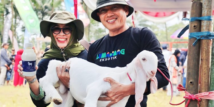 Susu Kambing Senduro Lumajang Ditetapkan Sebagai Produk Unggulan Nasional