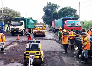 Program NGAPLING 2026: Upaya Pemkab Lumajang Tingkatkan Ekonomi Daerah