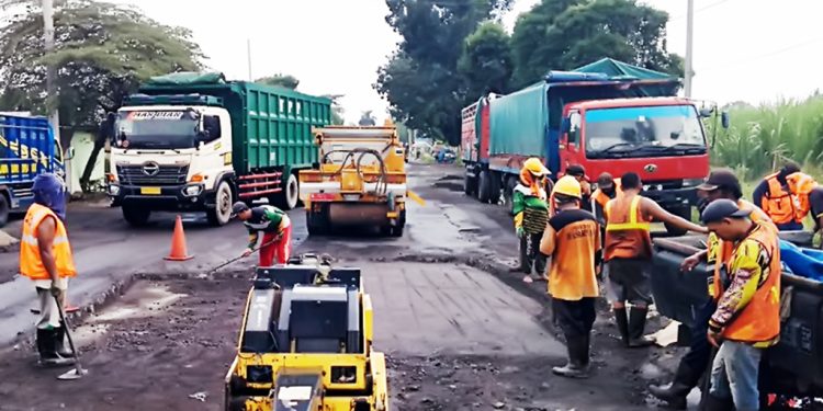 Program NGAPLING 2026: Upaya Pemkab Lumajang Tingkatkan Ekonomi Daerah