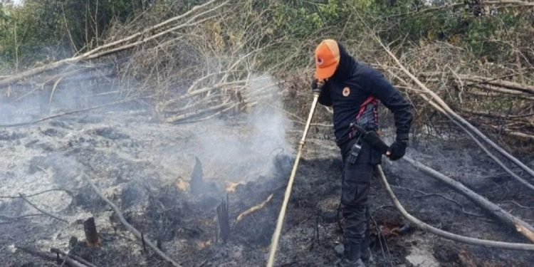 Polda Kalteng Kerahkan Ribuan Personel Gabungan untuk Mitigasi Karhutla