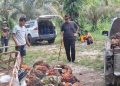 Harga TBS Kelapa Sawit di Riau Alami Penurunan Akibat Harga CPO