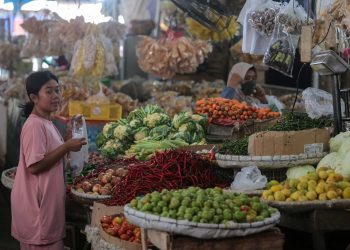 Ekonom Soroti Pengaruh Kenaikan Harga Energi terhadap Inflasi dan Daya Beli