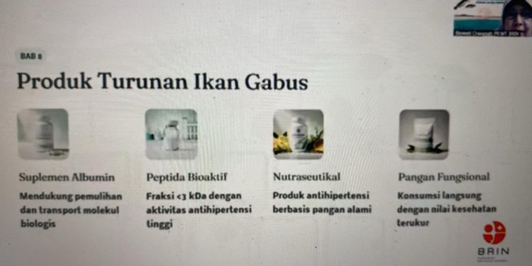 BRIN Soroti Ikan Gabus sebagai Superfood dan Pangan Fungsional Lokal