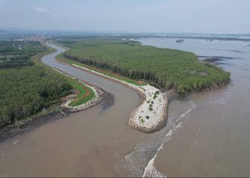 Proyek Tanggul Laut Pantura Berpotensi Mengancam Ekosistem Pesisir