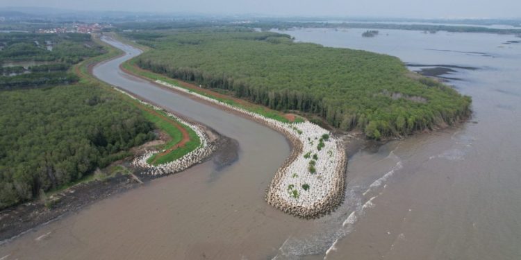 Proyek Tanggul Laut Pantura Berpotensi Mengancam Ekosistem Pesisir