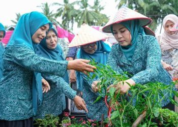 Pemprov Sumbar Tingkatkan Peran Dasawisma untuk Pembangunan Keluarga