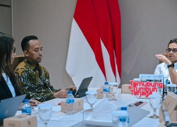 Pemerintah Ajak Platform Digital Berkolaborasi Atasi Hoaks Kesehatan