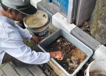 Menteri Lingkungan Hidup Dorong Pemilahan Sampah untuk Dukung Energi Listrik