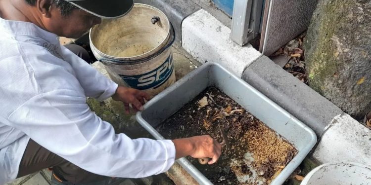 Menteri Lingkungan Hidup Dorong Pemilahan Sampah untuk Dukung Energi Listrik