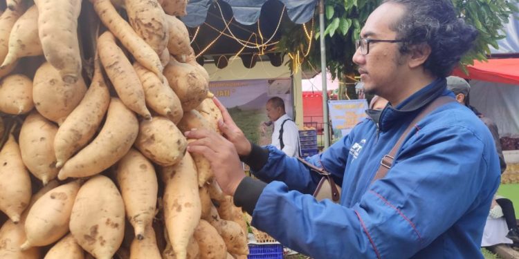 PADI 2026 Dorong Generasi Muda Terjun ke Pertanian di Jawa Tengah
