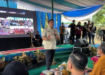 Pemerintah Lakukan Tanam Padi Serentak di 16 Provinsi untuk Hadapi El Nino