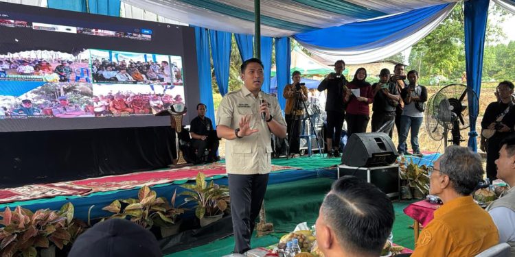 Pemerintah Lakukan Tanam Padi Serentak di 16 Provinsi untuk Hadapi El Nino