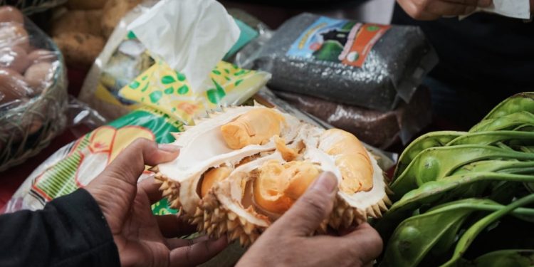 Dampak Perubahan Iklim Terhadap Durian di Lumajang pada 2026