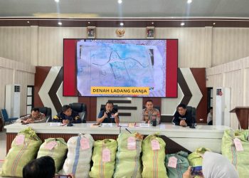 Polda Sumsel Ungkap Ladang Ganja 20 Hektar dan Sita 220 Kg Ganja