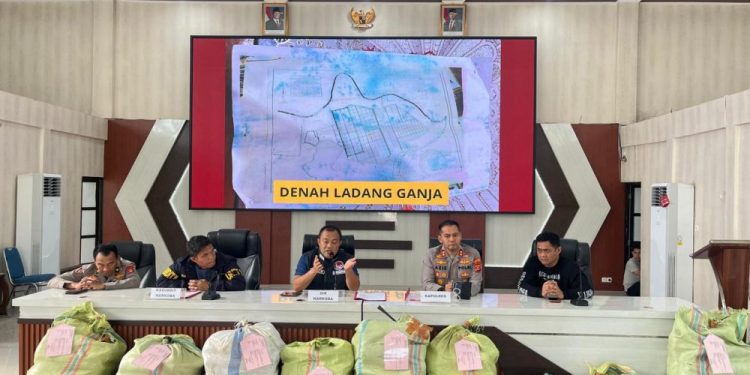 Polda Sumsel Ungkap Ladang Ganja 20 Hektar dan Sita 220 Kg Ganja