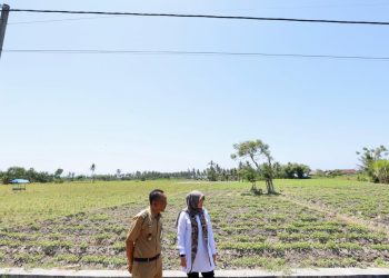 BPBD Banyuwangi Siapkan Satgas Hadapi Kemarau Panjang