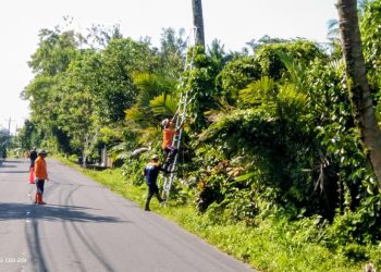 Warga Lumbungrejo Sleman Lakukan Penebangan Pohon untuk Antisipasi Cuaca Ekstrem