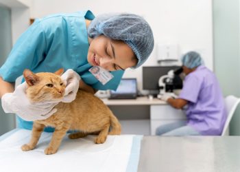 Dokter Hewan Didorong Tingkatkan Pendekatan One Health untuk Hadapi Zoonosis dan Keamanan Pangan