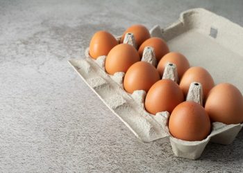 Guru Besar UGM Soroti Surplus Telur dan Dampak Investasi Asing