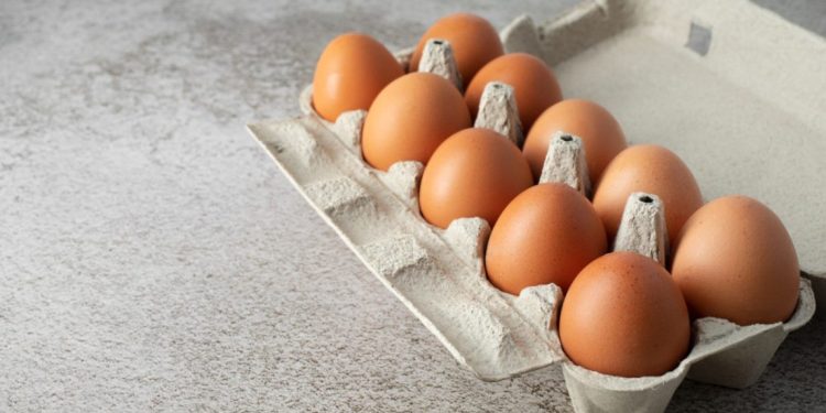 Guru Besar UGM Soroti Surplus Telur dan Dampak Investasi Asing