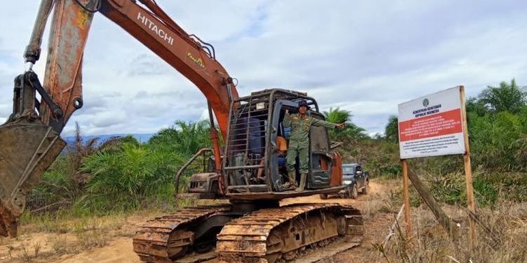 Pemerintah Sita 30 Hektare Kebun Sawit Ilegal di Bengkulu