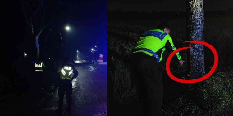 Kecelakaan Tunggal di Sleman, Dua Pelajar Tewas Usai Motor PCX Tabrak Pohon di Moyudan