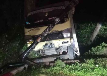 Truk Muatan 4 Ton Obat Nyamuk Terperosok di Jalan Menurun Dlingo Bantul, Sopir Selamat
