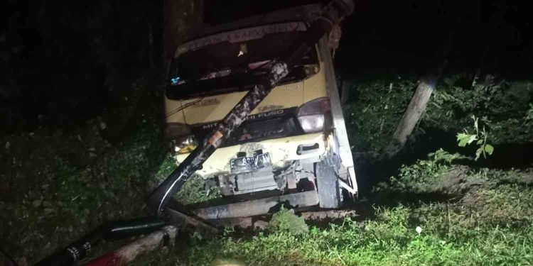 Truk Muatan 4 Ton Obat Nyamuk Terperosok di Jalan Menurun Dlingo Bantul, Sopir Selamat