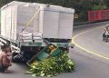 Detik-detik Truk Tak Kuat Nanjak di Tikungan Bokong Semar Bantul, Motor Tertabrak hingga Rusak