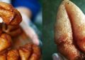 Asal Usul Nama Kue Kontol Kejepit
