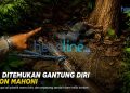 Ilustrasi gambar
