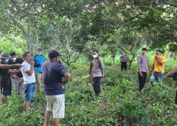 Pelajar Asal Luwu Tewas di Kebun Durian