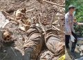 Pemancing Temukan Mayat dan Tengkorak Berlumut di Pajangan Bantul