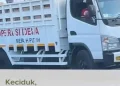 Penampakan Viral Keberadaan Truk KDMP di Indomarco Surabaya
