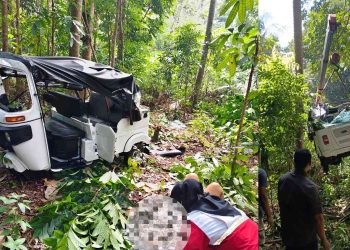Tikungan Tajam di Pajangan Bantul Makan Korban, Bajaj Masuk Kebun Warga