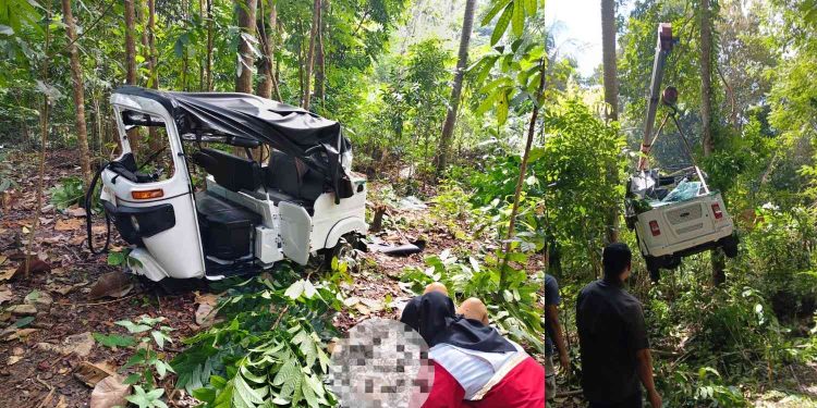 Tikungan Tajam di Pajangan Bantul Makan Korban, Bajaj Masuk Kebun Warga