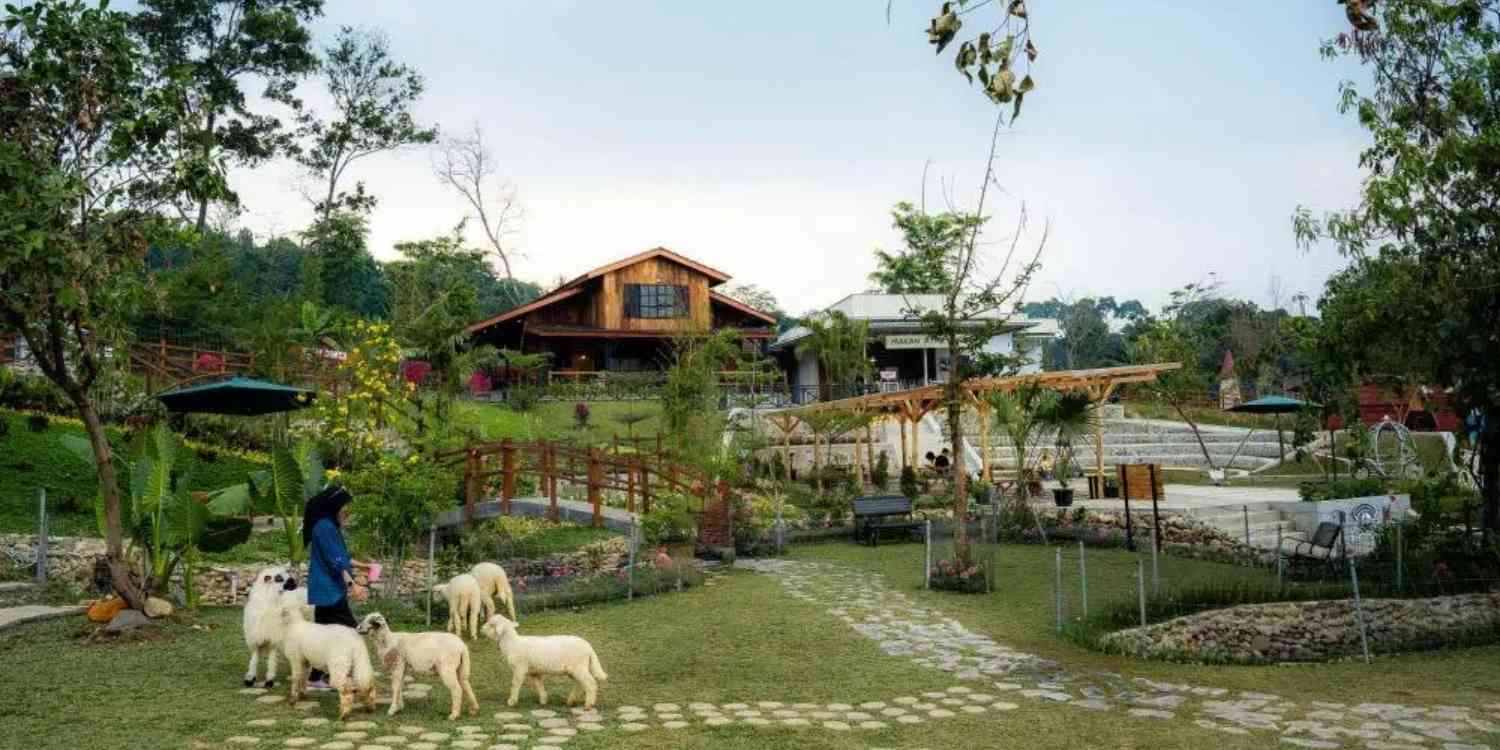 daya tarik utama Wisata Bukit Domba Sentul
