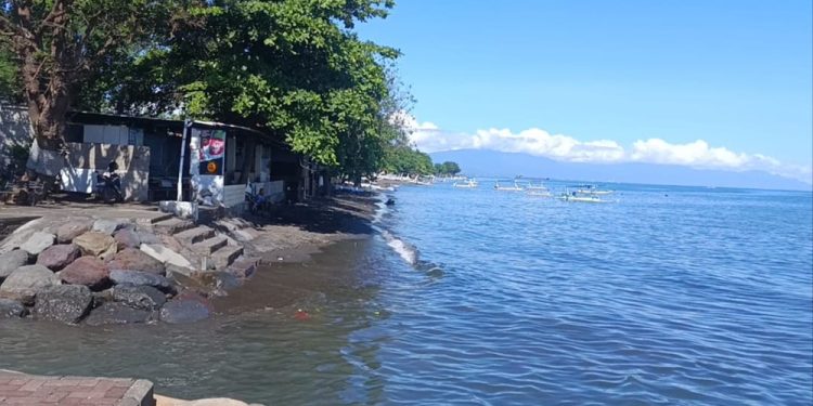 Desa Adat Banyuasri Kembangkan Wisata Konservasi Penyu Berbasis Lingkungan