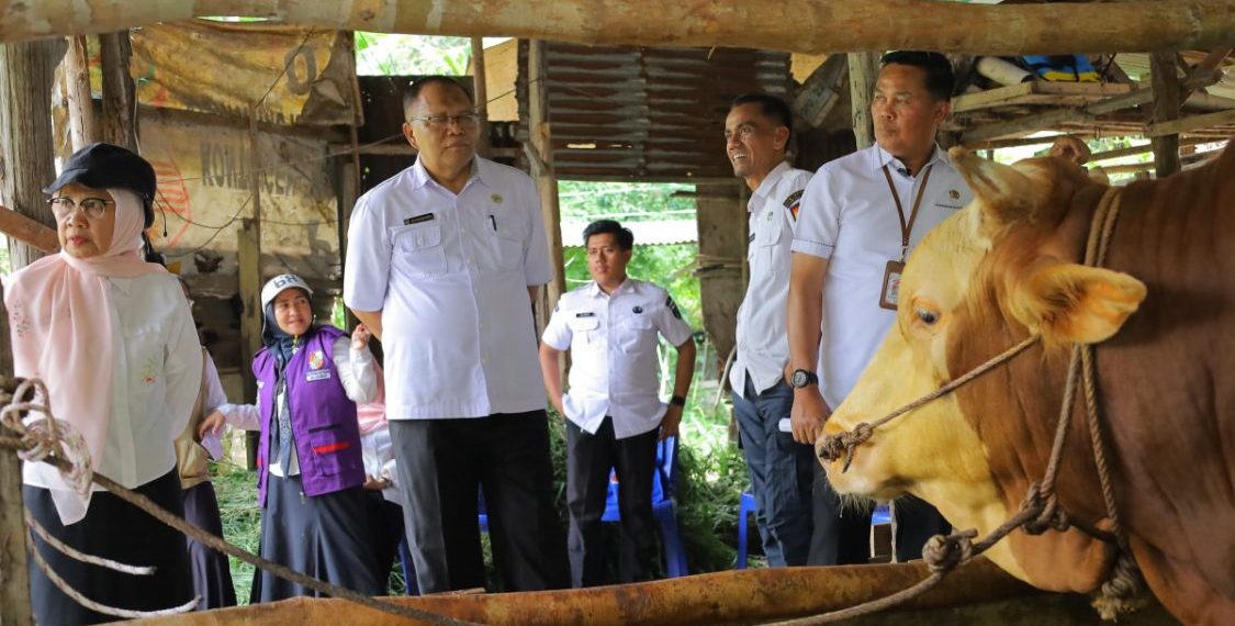 Distankan Pekanbaru Siapkan Pemeriksaan Kesehatan Hewan Kurban Menjelang Iduladha 1447 H