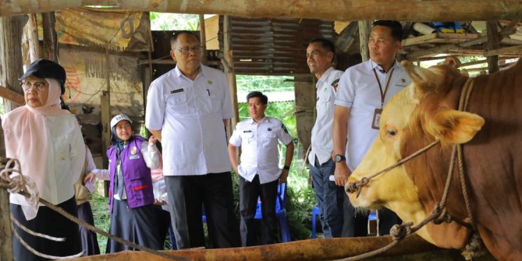 Distankan Pekanbaru Siapkan Pemeriksaan Kesehatan Hewan Kurban Menjelang Iduladha 1447 H